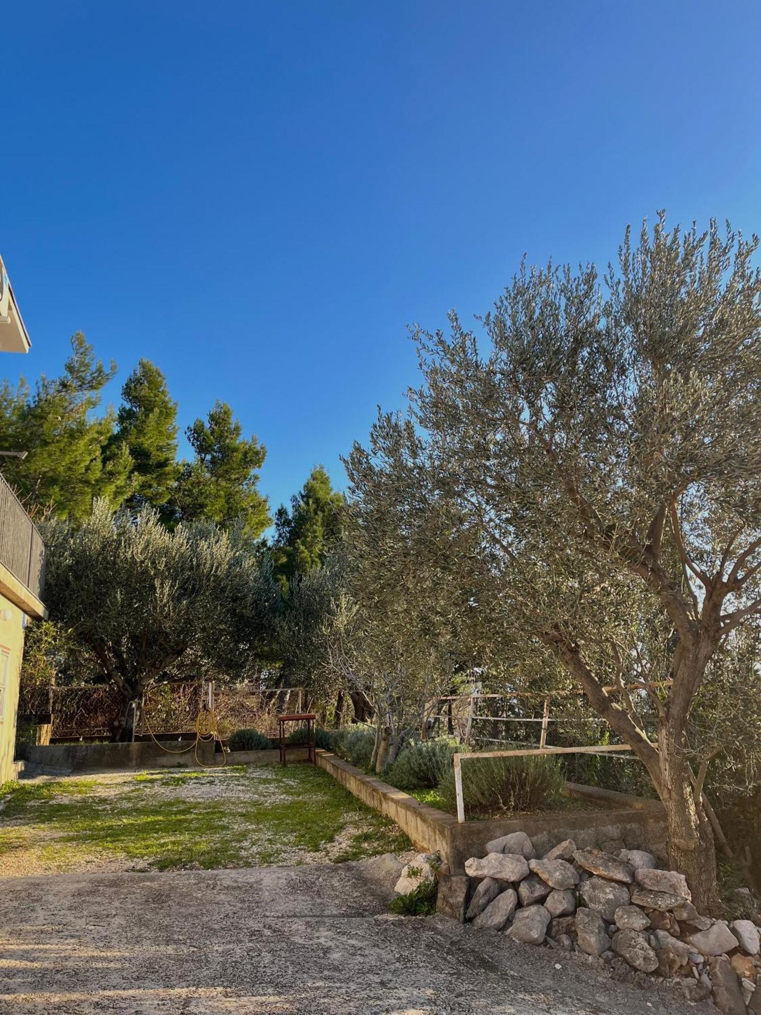 Modern Seaview House Fiore Starigrad Paklenica Exterior photo