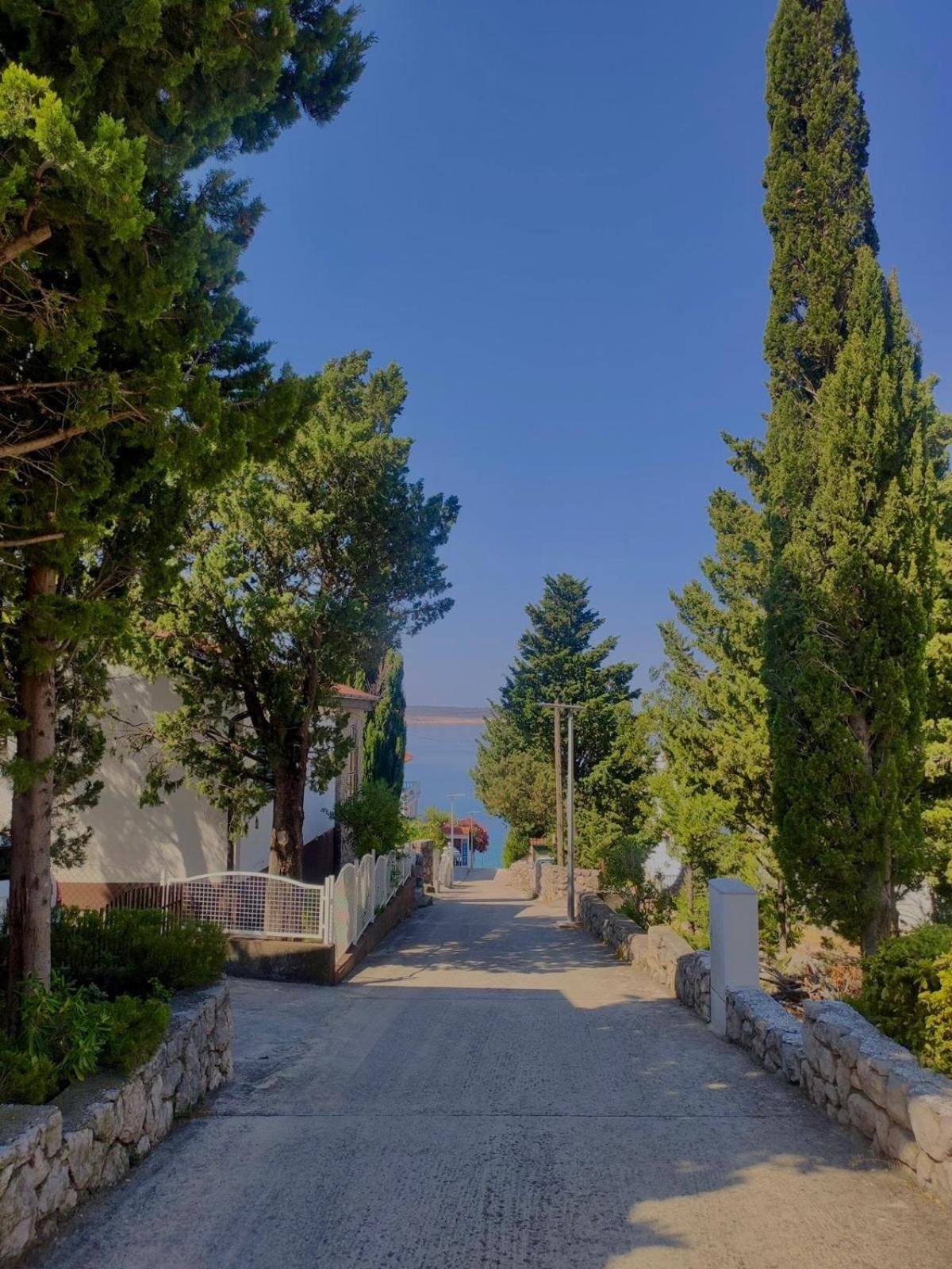 Modern Seaview House Fiore Starigrad Paklenica Exterior photo